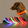 Aurissesion LED Dog Collar — Glow-Safe Nights, Every Walk