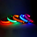 Aurissesion LED Dog Collar — Glow-Safe Nights, Every Walk