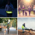 Aurissesion Hands-Free Dog Leash — Run Wild, Stay Connected