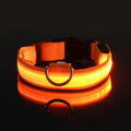 Aurissesion LED Dog Collar — Glow-Safe Nights, Every Walk