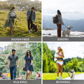 Aurissesion Hands-Free Dog Leash — Run Wild, Stay Connected
