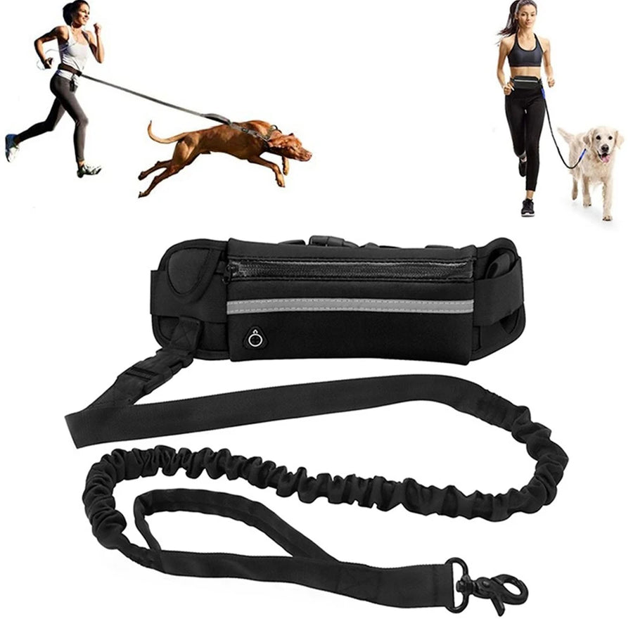 Aurissesion Hands-Free Dog Leash — Run Wild, Stay Connected