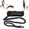Aurissesion Hands-Free Dog Leash — Run Wild, Stay Connected
