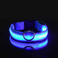 Aurissesion LED Dog Collar — Glow-Safe Nights, Every Walk