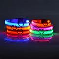 Aurissesion LED Dog Collar — Glow-Safe Nights, Every Walk