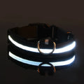 Aurissesion LED Dog Collar — Glow-Safe Nights, Every Walk