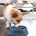 Aurissesion Slow Feeder Dog Bowl — Eat Slower, Live Longer