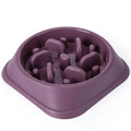 Aurissesion Slow Feeder Dog Bowl — Eat Slower, Live Longer