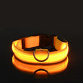 Aurissesion LED Dog Collar — Glow-Safe Nights, Every Walk