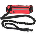 Aurissesion Hands-Free Dog Leash — Run Wild, Stay Connected