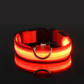 Aurissesion LED Dog Collar — Glow-Safe Nights, Every Walk