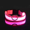 Aurissesion LED Dog Collar — Glow-Safe Nights, Every Walk