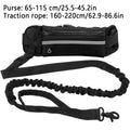 Aurissesion Hands-Free Dog Leash — Run Wild, Stay Connected