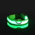 Aurissesion LED Dog Collar — Glow-Safe Nights, Every Walk
